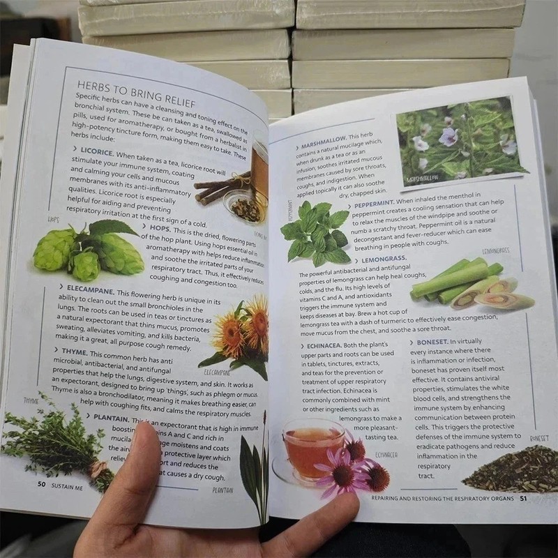 Sustain Me Book - Barbara O'Neill’s New Book Sealed In Hand - Free shipping Usa gallery
