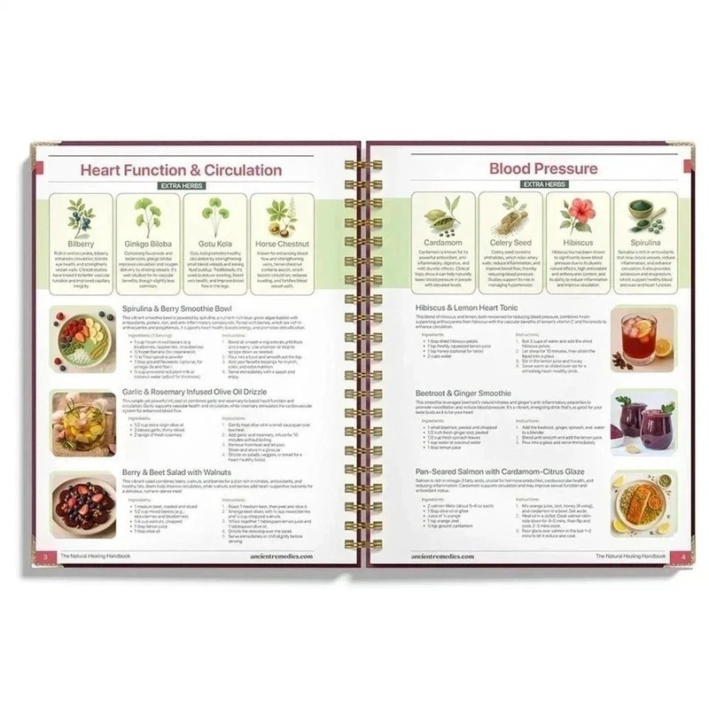 The Natural Healing Handbook Spiral Bound Guide For Herbal Remedies And Natural gallery