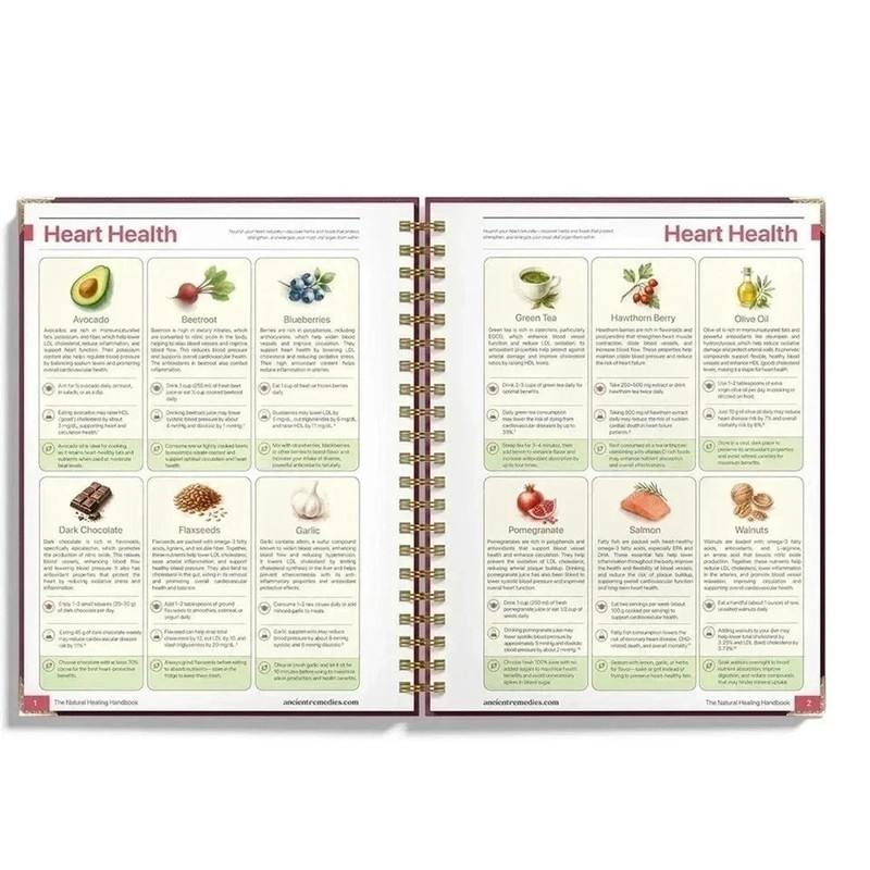 The Natural Healing Handbook Spiral Bound Guide For Herbal Remedies And Natural gallery