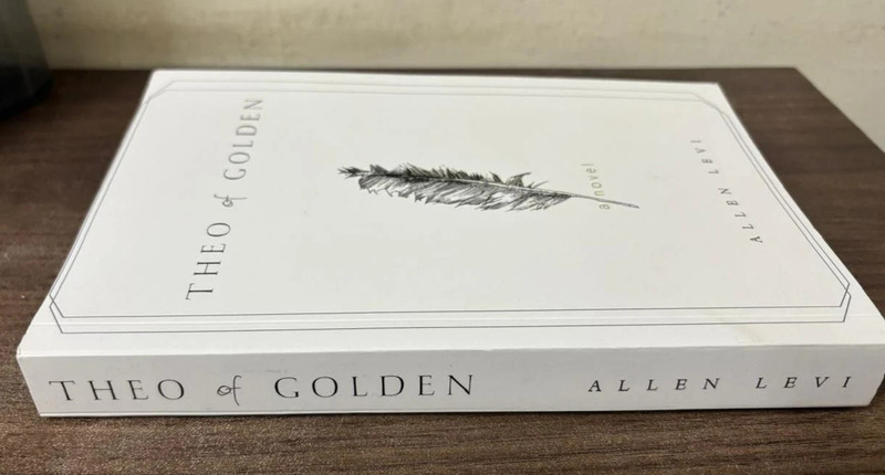 Perfect Book Gift for Christmas - Theo of Golden, Paperback gallery