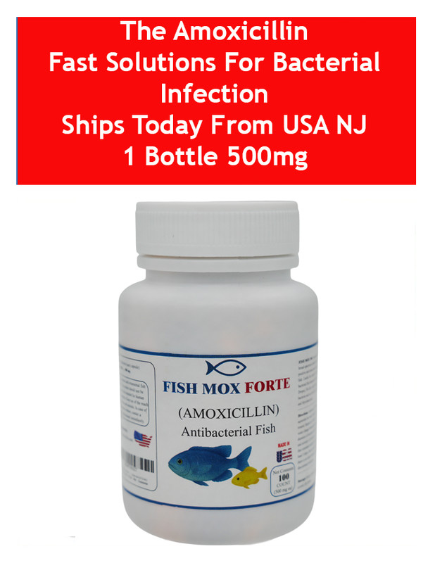 AMOXICILLIN AQUA 500 Fast Solutions for Bacterial Infection